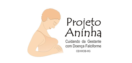 Logo aninha imagemdestacadaCehmob